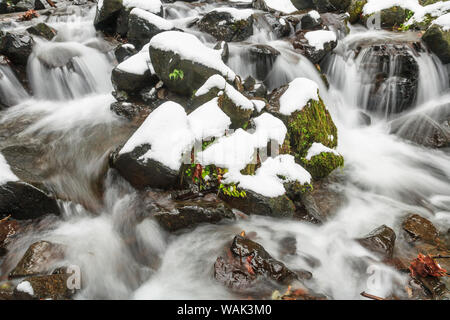 Fame Creek vicino a Sandy, Columbia Gorge National Scenic Area, Oregon, Stati Uniti d'America Foto Stock