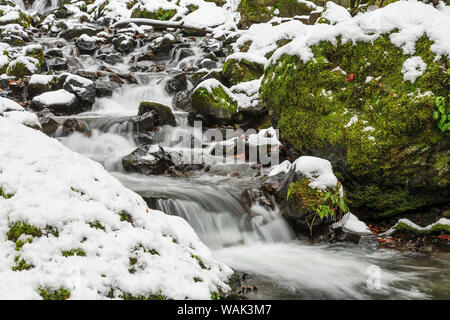 Fame Creek vicino a Sandy, Columbia Gorge National Scenic Area, Oregon, Stati Uniti d'America Foto Stock