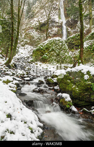 Fame Creek vicino a Sandy, Columbia Gorge National Scenic Area, Oregon, Stati Uniti d'America Foto Stock