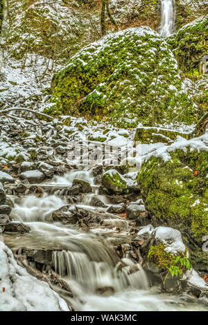 Fame Creek vicino a Sandy, Columbia Gorge National Scenic Area, Oregon, Stati Uniti d'America Foto Stock