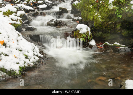 Fame Creek vicino a Sandy, Columbia Gorge National Scenic Area, Oregon, Stati Uniti d'America Foto Stock