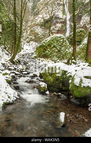 Fame Creek vicino a Sandy, Columbia Gorge National Scenic Area, Oregon, Stati Uniti d'America Foto Stock