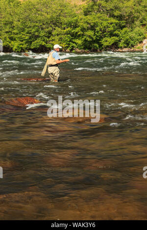 Pescatore a mosca, inferiore fiume Deschutes, Central Oregon, Stati Uniti d'America (MR) Foto Stock