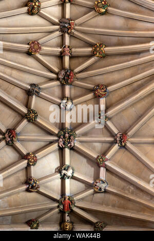 Con soffitti a volta del tetto di pietra che mostra a soffitto dipinto di borchie del tetto, Norwich Cathedral, Norfolk, Inghilterra, Regno Unito Foto Stock