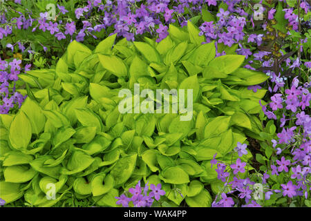 Colori di Primavera, Chanticleer Garden, Wayne, Pennsylvania. Foto Stock