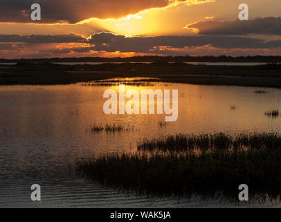 Saldatore Appartamenti a sunrise, Baia di San Antonio, Texas Foto Stock