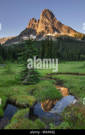 Liberty Bell Mountain si riflette ancora in acque di stato Creek, prati di, Washington Pass. North Cascades, nello Stato di Washington Foto Stock