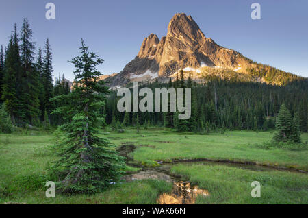 Liberty Bell Mountain si riflette ancora in acque di stato Creek, prati di, Washington Pass. North Cascades, nello Stato di Washington Foto Stock