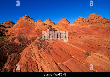 Pomeriggio di luce sul marmo formazioni di arenaria vicino Gulch daino, Paria Canyon-Vermilion Cliffs Wilderness, Arizona, Stati Uniti. Foto Stock