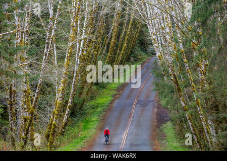 Il ciclismo su strada sul Hoh Road in Olympic National Forest, nello Stato di Washington, USA (MR) Foto Stock