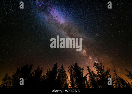 La Via Lattea su Valle delle Rose, Los Padres National Forest, California, Stati Uniti d'America. Foto Stock