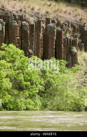 Hells Canyon National Recreation Area, nello Stato di Washington, USA. Riolite è una roccia ignea. Le strutture sono denominate giunzione colonnari. Vista dal Fiume Snake, con un lato del fiume Washington e l'altro lato Oregon. Foto Stock