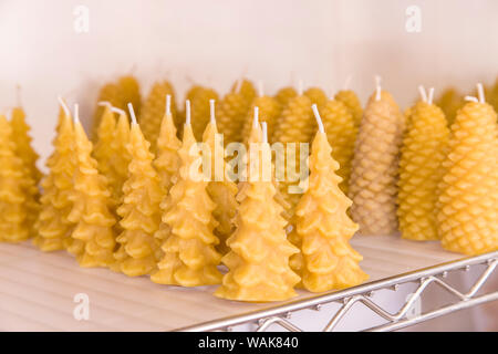 Valle di acero, nello Stato di Washington, USA. A mano a forma di albero di pigna e a forma di candele in cera d'api pronto per la vendita. Foto Stock