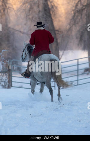 Cavallo rigido in inverno sul nascondiglio Ranch, Shell, Wyoming. Cowboy in sella al suo cavallo. (MR) Foto Stock