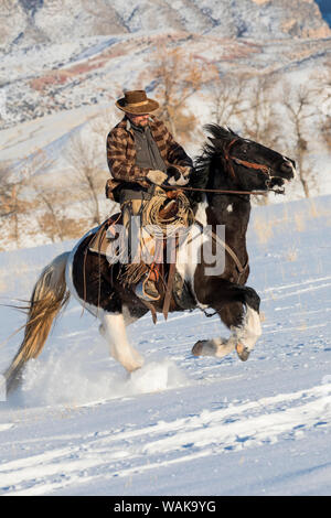 Cavallo rigido in inverno sul nascondiglio Ranch, Shell, Wyoming. Cowboy in sella al suo cavallo. (MR) Foto Stock