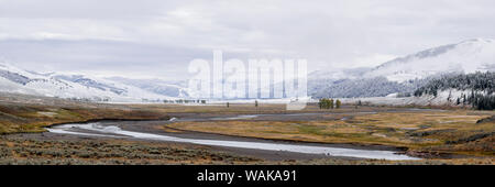 Parco Nazionale di Yellowstone, Wyoming negli Stati Uniti. Lamar River Valley dopo un inizio autunno tempesta di neve. Foto Stock