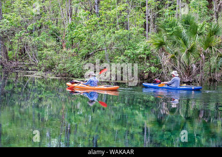 Giovane kayak sul fiume d'argento, Silver Springs State Park, Silver Springs, in Florida, Stati Uniti d'America Foto Stock