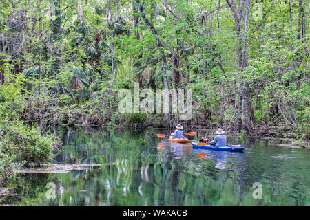 Giovane kayak sul fiume d'argento, Silver Springs State Park, Silver Springs, in Florida, Stati Uniti d'America Foto Stock