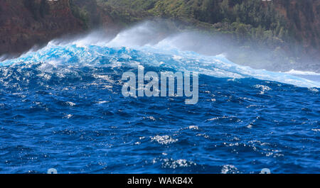 Giant Wave rottura vicino "ganasce" Maui North Shore, Hawaii, STATI UNITI D'AMERICA Foto Stock