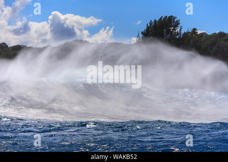 Giant Wave rottura vicino "ganasce" Maui North Shore, Hawaii, STATI UNITI D'AMERICA Foto Stock