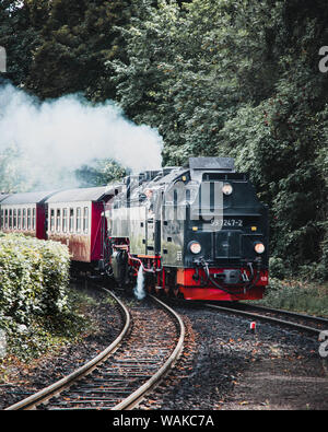 Il vecchio campione salite ancora la montagna Foto Stock