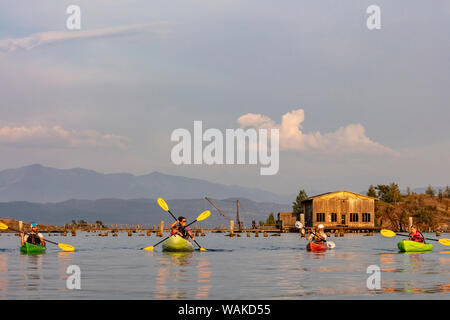 Family Sea kayak sul lago Flathead in Somers, Montana, USA (MR) Foto Stock