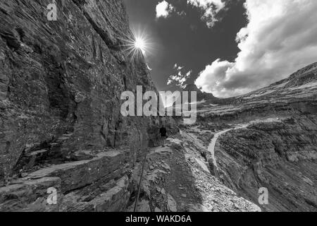 La sezione ristretta dell'Highline Trail sopra andando al sole strada nel Parco Nazionale di Glacier, Montana, USA Foto Stock