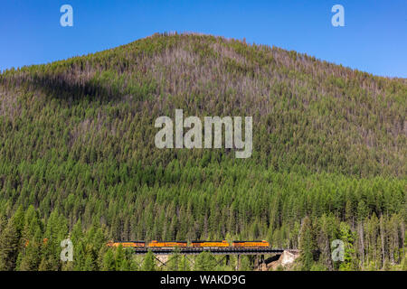 Burlington Northern treno merci attraversando le pecore Creek traliccio nella Flathead National Forest, Montana, USA Foto Stock