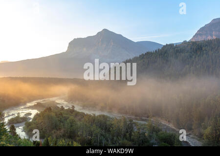 Nebbia a sunrise lungo la corrente di Swift Creek nel Parco Nazionale di Glacier, Montana, USA Foto Stock