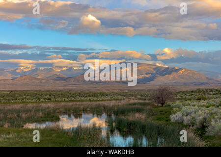Snake montagne che si riflettono nelle zone umide del Parco nazionale Great Basin, Nevada, STATI UNITI D'AMERICA Foto Stock