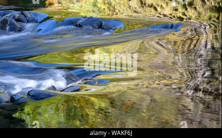 Stati Uniti d'America, Oregon. Abstract di autunno colori riflessi nel fiume Wilson rapids. Credito come: Wendy Kaveney Jaynes / Galleria / DanitaDelimont.com Foto Stock