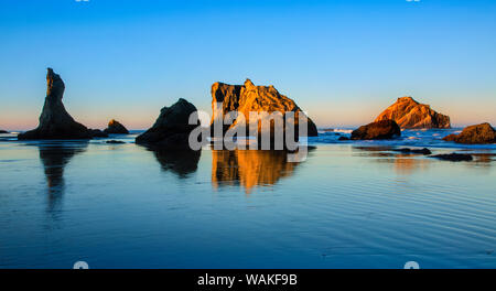 Stati Uniti d'America, Oregon, Bandon. Tramonto sulla spiaggia mare pile. Credito come: Jean Carter Jaynes / Galleria / DanitaDelimont.com Foto Stock