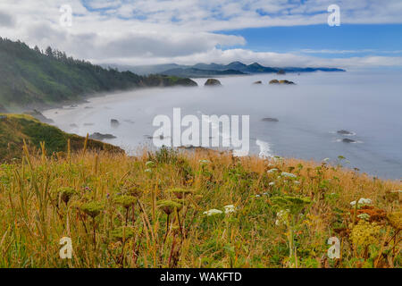 Vista di Cannon Beach con seastack con crescente nebbia da Ecola State Park Foto Stock