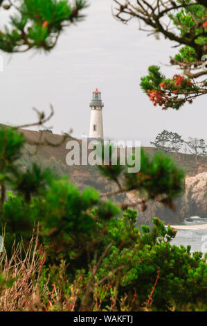 Yaquina Capo Faro, vicino a Newport, Oregon Coast Foto Stock