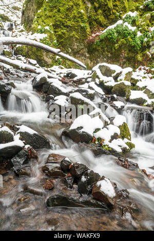 Fame Creek vicino a Sandy, Columbia Gorge National Scenic Area, Oregon, Stati Uniti d'America Foto Stock