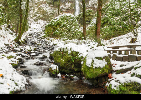 Fame Creek vicino a Sandy, Columbia Gorge National Scenic Area, Oregon, Stati Uniti d'America Foto Stock