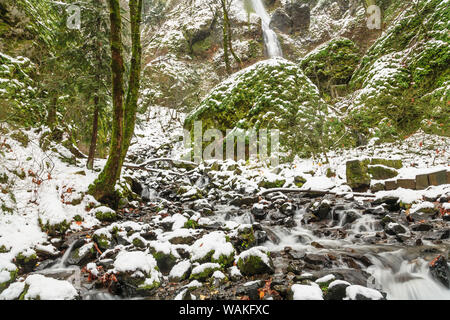 Fame Creek vicino a Sandy, Columbia Gorge National Scenic Area, Oregon, Stati Uniti d'America Foto Stock