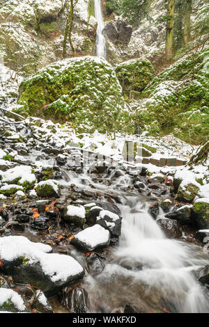 Fame Creek vicino a Sandy, Columbia Gorge National Scenic Area, Oregon, Stati Uniti d'America Foto Stock