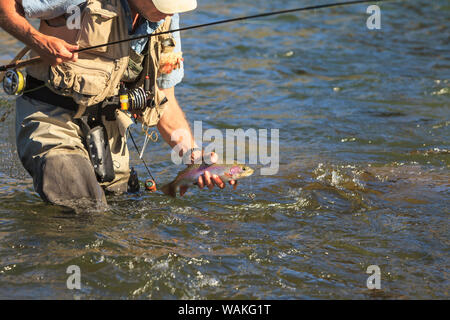 Pescatore a mosca, inferiore fiume Deschutes, Central Oregon, Stati Uniti d'America (MR) Foto Stock