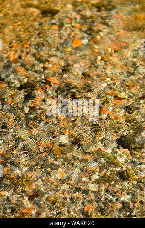 Creek in esecuzione in Olandese Appartamenti vicino a scintille lago orientale, Oregon, Stati Uniti d'America Foto Stock