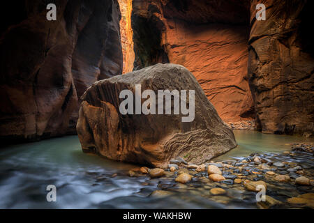 Stati Uniti d'America, Utah, Parco Nazionale di Zion. Fiume vergine fluisce attraverso il si restringe. Credito come: Jim Nilsen Jaynes / Galleria / DanitaDelimont.com Foto Stock