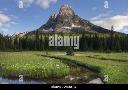 Liberty Bell Mountain si riflette nelle acque di stato Creek, nello Stato di Washington Pass prati, North Cascades, nello Stato di Washington Foto Stock