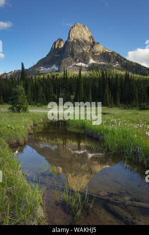 Liberty Bell Mountain si riflette nelle acque di stato Creek, nello Stato di Washington Pass prati, North Cascades, nello Stato di Washington Foto Stock