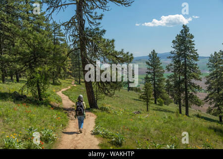 Stati Uniti d'America, nello Stato di Washington, Kamiak Butte County Park. Donna trekking sul Sentiero. Credito come: Don Paulson Jaynes / Galleria / DanitaDelimont.com (MR) Foto Stock