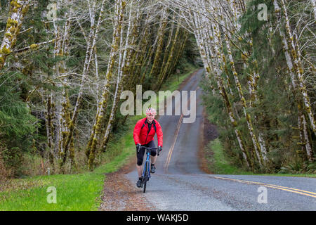 Il ciclismo su strada sul Hoh Road in Olympic National Forest, nello Stato di Washington, USA (MR) Foto Stock