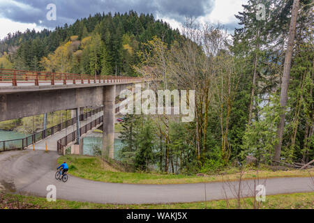 Il ciclismo su strada sulla Olympic sentiero di scoperta attraverso il Fiume Elwha vicino a Port Angeles, nello Stato di Washington, USA (MR) Foto Stock