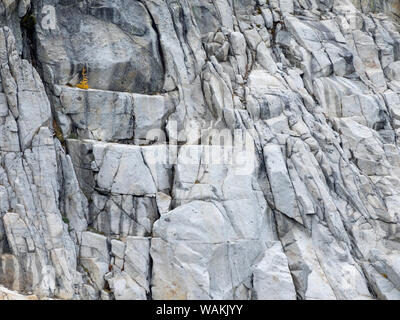 Stato di Washington, Alpine Lakes Wilderness. Incanto laghi, lone larice sulla roccia di granito Foto Stock