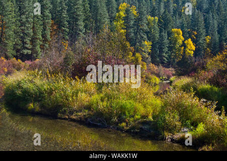 Colore di autunno, Leavenworth National Fish Hatchery, nello Stato di Washington, USA Foto Stock