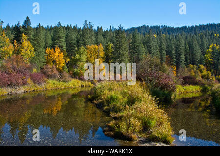 Colore di autunno, riflessioni, Leavenworth National Fish Hatchery, nello Stato di Washington, USA Foto Stock