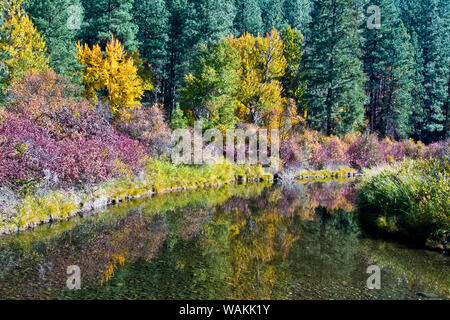 Colore di autunno, riflessioni, Leavenworth National Fish Hatchery, nello Stato di Washington, USA Foto Stock